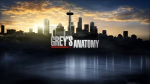 Grey's Anatomy Soundtrack: Ingrid Michaelson - Without You