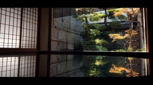 Panasonic Lumix S PRO 24-70mm f/2.8