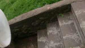 Пейте родниковую воду!