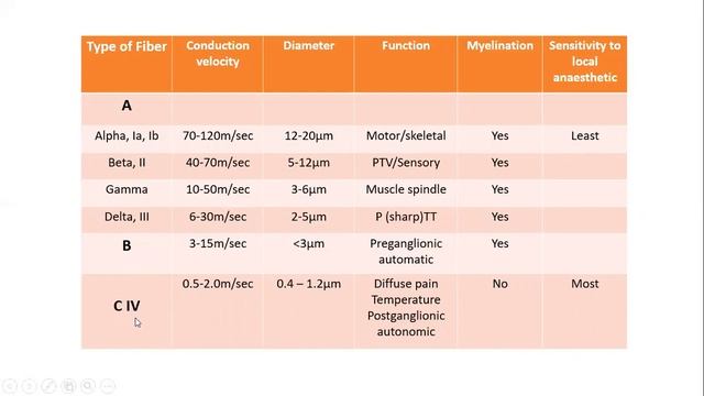Neuroanatomy4 Receptor;NerveFiber;Myelination https://web.facebook.com/dranatomy786/