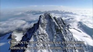 Ученые нашли лекарство от старости  — Статья