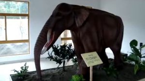 аниматронных животных  моделирование животных