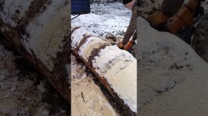 Бензопила Holzfforma G366 впечатляет своей работой