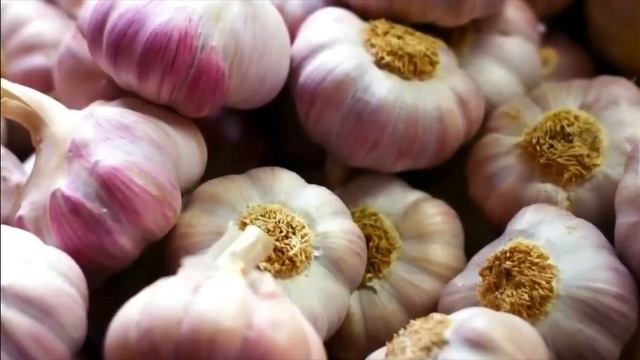Организм Сам Восстановит сосуды и Кишечник!!