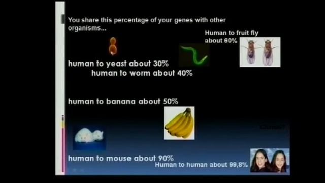 Matric Revision: Life Sciences: evidence for evolution (4/6): comparative biochemistry смотреть онлайн