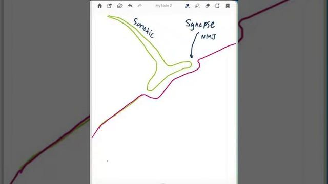 Receptors Part 7 смотреть онлайн