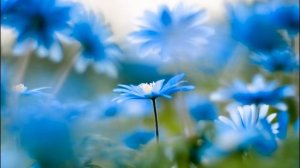 Целебная музыка для снятия головной боли