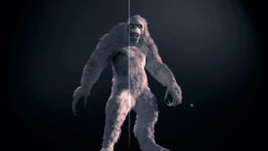 Друг из лесной чащи. История про снежного человека .