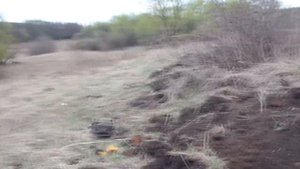 Экспедиция весна 2021