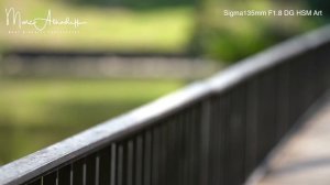 Sigma 135mm F1 8 DG HSM Art for Sony FE