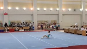 Соревнования по спортивной гимнастике. 1 спортивный разряд. Произвольная программа.