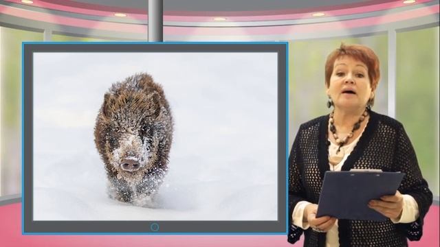 Rus pr sch 021 смотреть онлайн