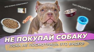 Не покупай собаку, пока не посмотришь это видео! Или что нужно начинающему собачнику? ТОП ПРЕДМЕТОВ
