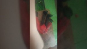 Максимка лепит из пластилина спикермена титана