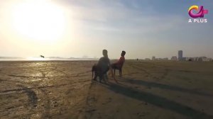 Дидан  | серия 7 | Пакистанская драма | Русский дубляж | C1C1Y