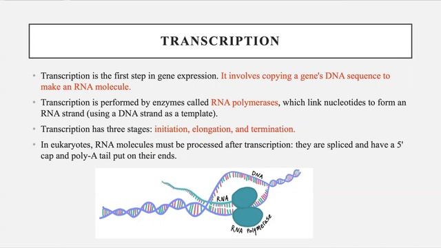 Inhibitors of Replication, Transcription and Translation смотреть онлайн