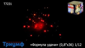 Т7231 Фейерверк Формула удачи 0,8 х 36 залпов