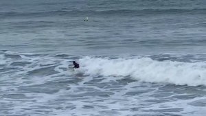 Вовка во Флориде Ждём груз Дальнобой по США_