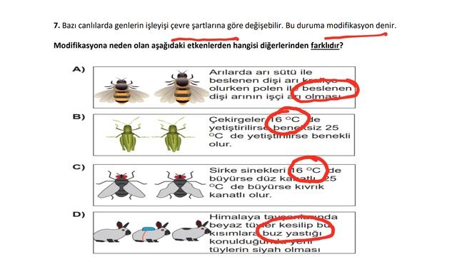 03-04 Nisan 2021 KİS 8. Sınıf Fen Bilgisi смотреть онлайн