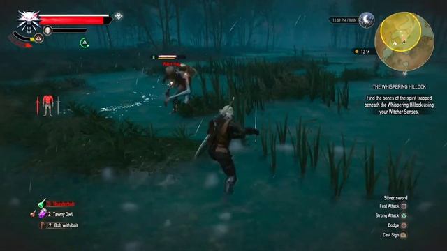 Fighting A Water Hag - The Witcher 3: Wild Hunt смотреть онлайн