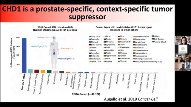 Genomic Drivers of AR Reprogramming and Therapeutic Sensitivity in Prostate Cancer