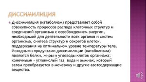 Урок Обмен веществ и энергии