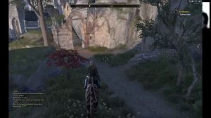 Madcat Mayhem In Summerset