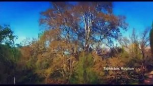 Махмадали Умаров Рогун 2018