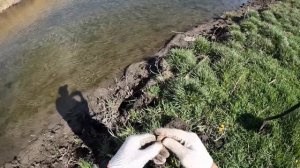 Коп 16.04.24 р. Берда