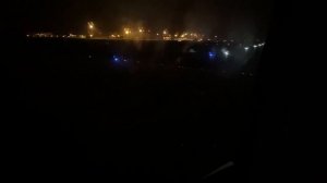 Turkish Airlines - Полет из Страсбурга в Стамбул на Boeing 737 MAX 8 | Flight Strasbourg - Istanbul