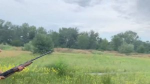 Fabarm L4S. 21 июня 2020 г.