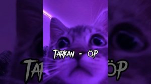Tarkan - Öp ( speed up)