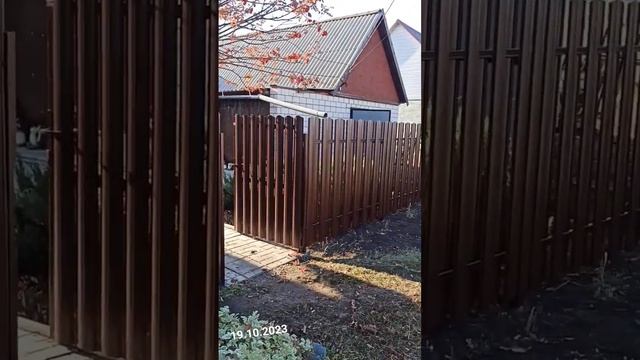 26 октября 2023 г. смотреть онлайн