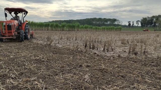 Traktor Kubota Kerja di lahan Petani, Sawah Petani Lampung смотреть онлайн