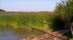 Электронный сигнализатор поклевки (самодельный). Принцип работы. Ловим подлещика.