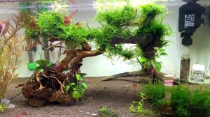 Реодизайн креветочника 2