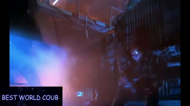 BEST WORLD COUB #62 Лучшие приколы ФЕВРАЛЬ 2017