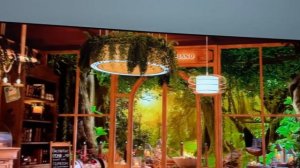 Телевизор Xiaomi TV A Pro 55 2025