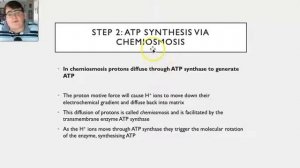 Electron Transport Chain