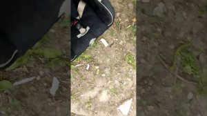 Решил попробовать купить понять удобства детского кресла с  izofix на Лада Vesta NG,