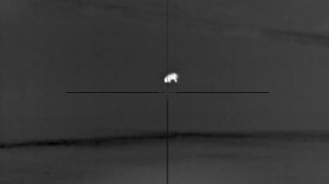 Nattjakt vildsvin. Pulsar Talion xq35 pro. Norma Silencer Tipstrike 30-06.