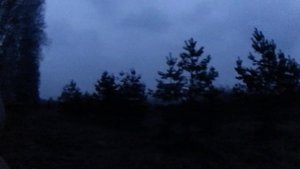 охота на вальдшнепа