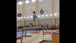 Соревнования по спортивной Гимнастике.