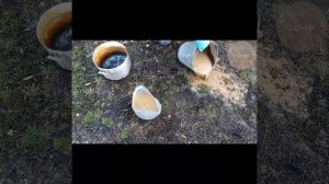 Самодельная пропитка для дерева из природных материалов от  ГНИЕНИЯ и ПАРАЗИТОВ.