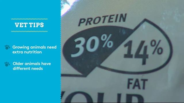 How To Interpret Pet Food Packaging Labels | Bondi Vet смотреть онлайн