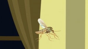 когда ночью залетел комар