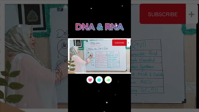 DNA & RNA