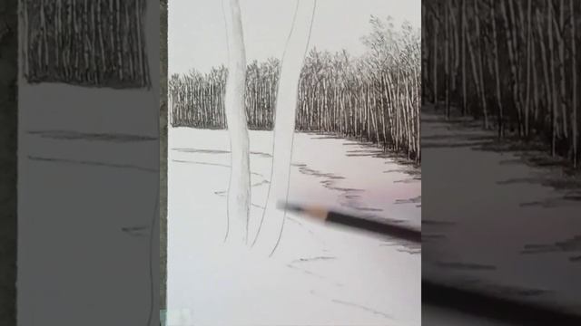 How to draw a pencil drawing of birch trees landscape in ice place?