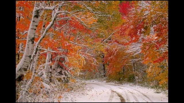 Цветная осень-вечер года. Самуил Маршак.