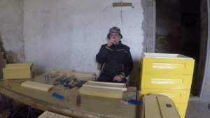 Почему пчелопакет лучше для начинающего пчеловода Как начать пасеку с нуля